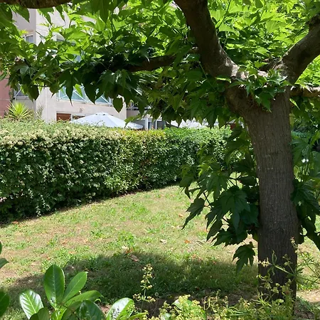 Zen Attitude Cagnes-sur-Mer